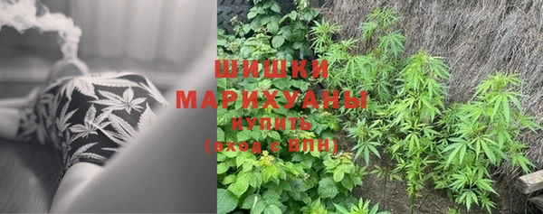 мет Заводоуковск