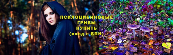 мет Заводоуковск