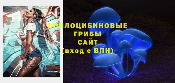 дживик Заволжск