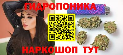 стаф Апшеронск