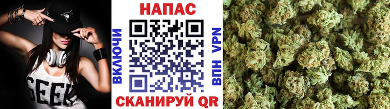 Шишки марихуана ГИДРОПОН дарнет шоп Всеволожск